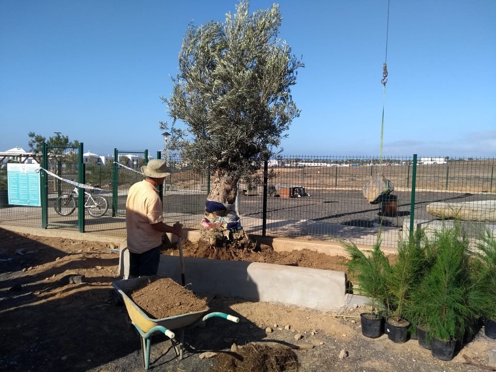 Canariensis - Parque Canino 10